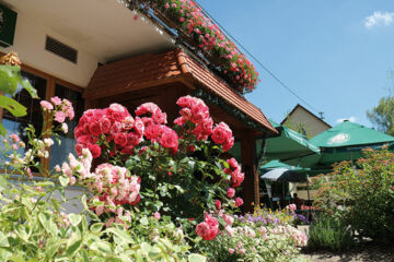 LANDHOTEL ZUR LINDE Lossburg