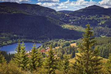 LAND-GUT-HOTEL GROßBACH Menzenschwand