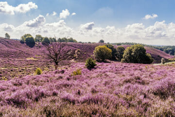 FLETCHER HOTEL-LANDGOED HUIS TE EERBEEK Eerbeek