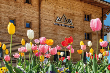 VIU HOTEL VILLARS (B&B) Villars sur Ollon