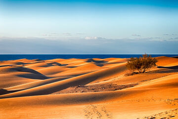 HOTEL CORALLIUM BEACH Maspalomas