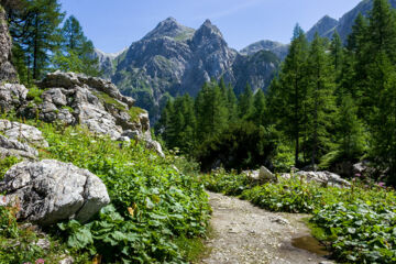 NATURHOTEL EDELWEISS Wagrain