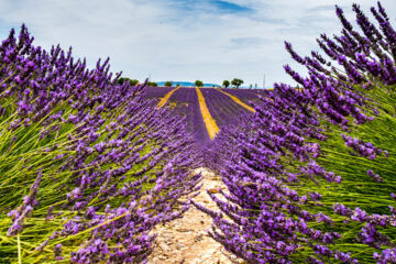 SEVAN PARC HOTEL (B&B) Pertuis