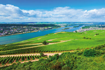 AKZENT WALDHOTEL RHEINGAU Geisenheim