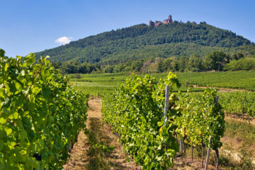 HÔTEL MUNSCH Saint Hippolyte (alsace)