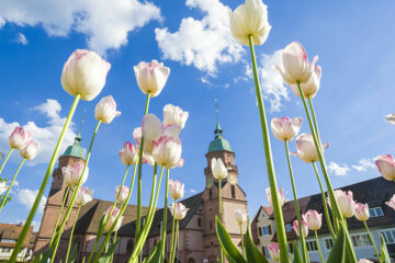 NATUR- & SPORTHOTEL DIE ZUFLUCHT Freudenstadt