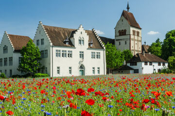 MEIN INSELGLÜCK Reichenau