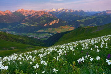 HÔTEL DE VILLE DE CHÂTEAU-D'OEX (B&B) Château-d'Oex HÔTEL DE VILLE DE CHÂTEAU-D'OEX (B&B) Château-d'Oex