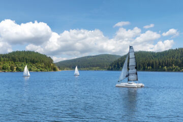 CHALET MOOS (B&B) Todtmoos