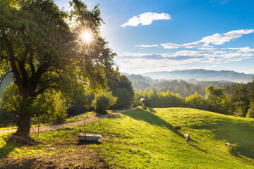 TERME SNOVIK Laze v Tuhinju
