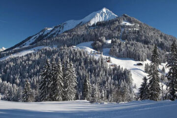 AUBERGE DE LA COMBAL Ormont-Dessous