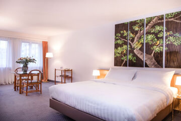 HÔTEL SAGITTA (B&B) Ginevra