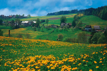 LANDHOTEL OSTERLAMM Grünhain-Beierfeld