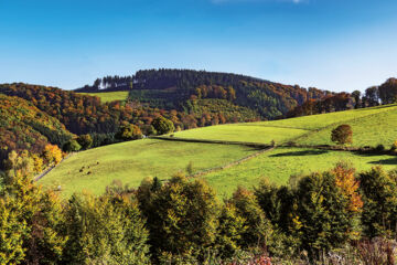 WALDHOTEL WILHELMSHÖHE Freudenberg