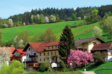 HOTEL GASTHOF ZUR KRONE Oberzent