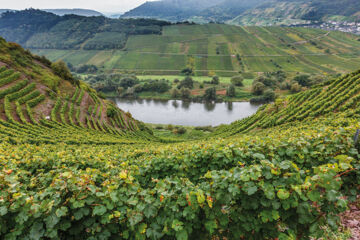 PENSION EDGAR SCHWAAB (B&B) Erden