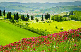 Toscana
